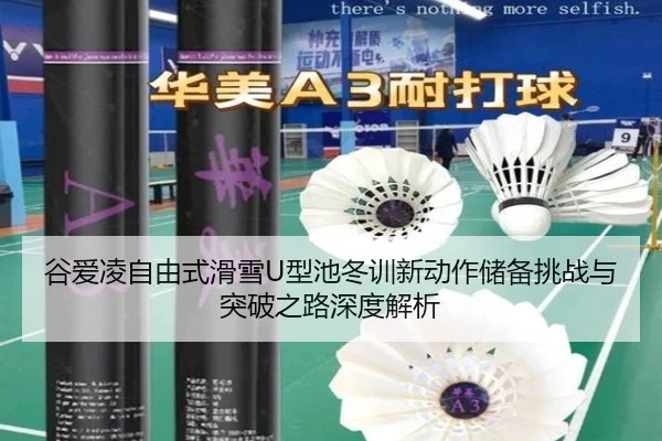 gu-ai-ling-zi-you-shi-hua-xue-xing-chi-dong-xun-xin-dong-zuo-chu-bei-tiao-zhan-yu-tu-po-zhi-lu-shen-du-jie-xi-2-902.jpg