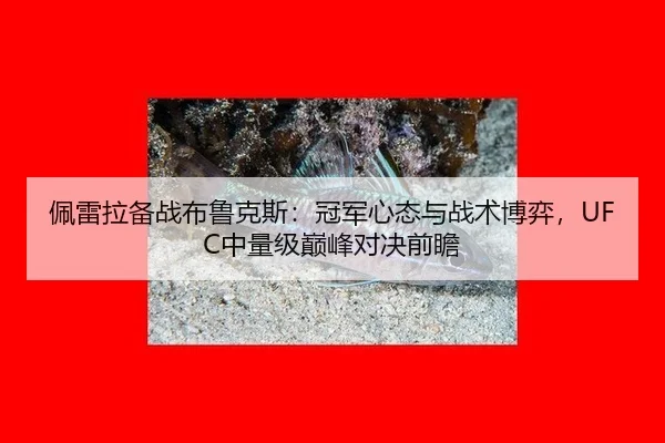 佩雷拉备战布鲁克斯：冠军心态与战术博弈，UFC中量级巅峰对决前瞻