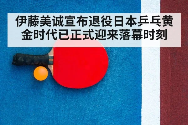 table tennis racket